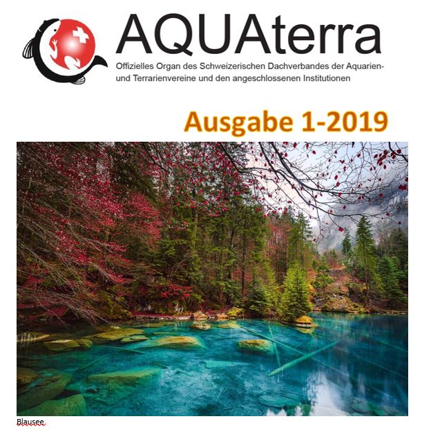 Aquaterra 1 2019