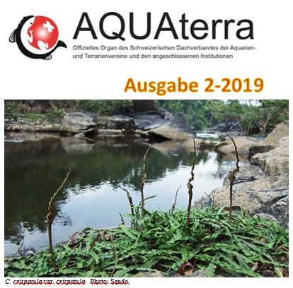 Aquaterra 2 2019