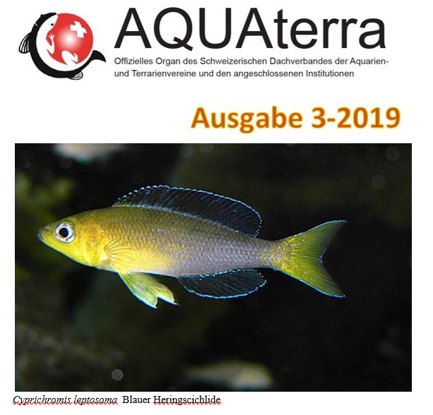 Aquaterra 3 2019