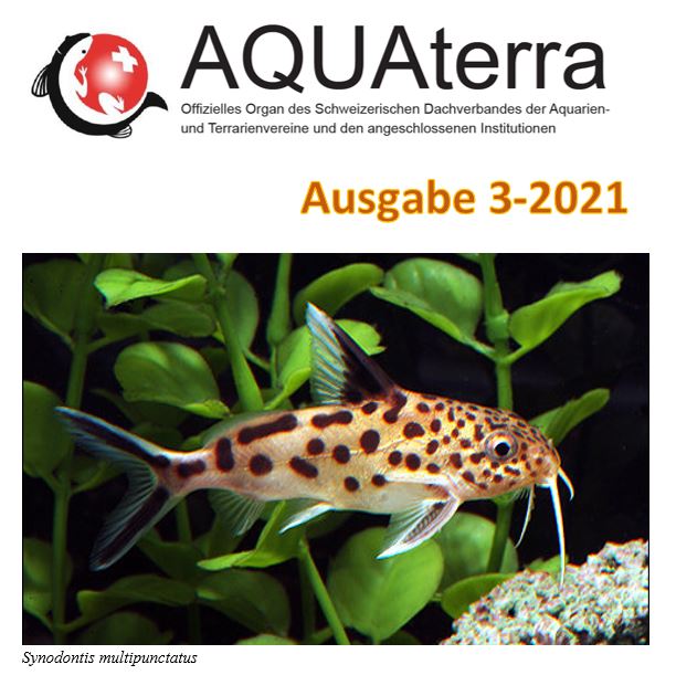 Aquaterra 3 2021