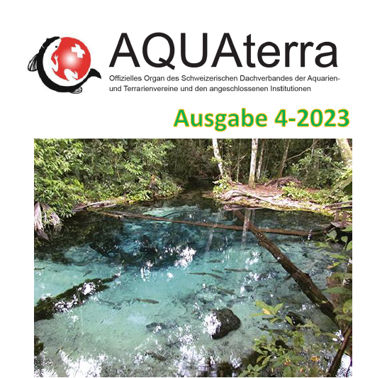 AquaTerra Ausgabe4 2023